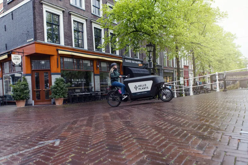 Everspring Kurier mit Pflanzen auf dem Lastenrad