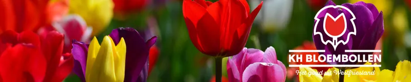 KH Bloembollen in beeld