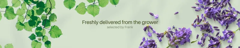 View of Plants by Frank