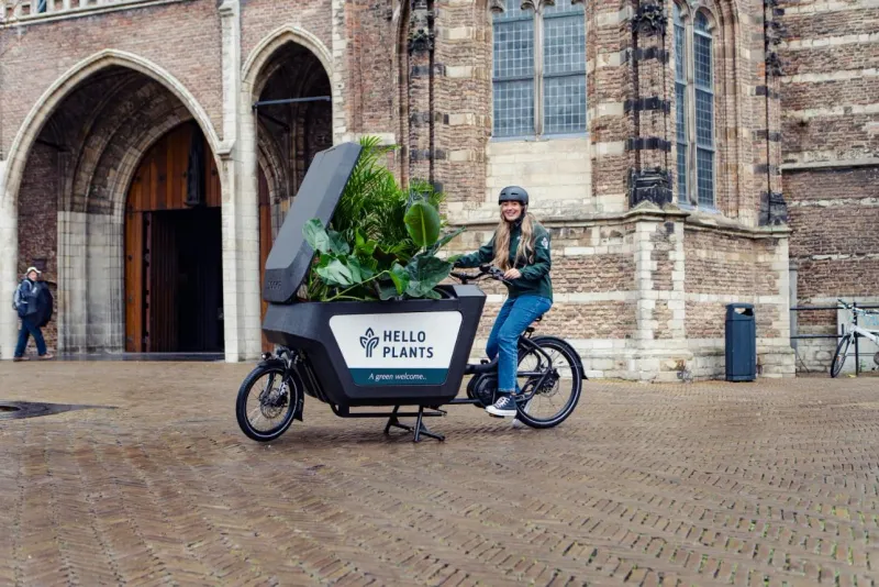 Cargo bike full of green parcels on its way to customers
