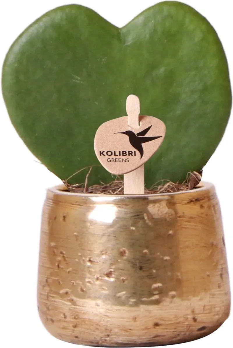 Bauen Sie einen Onlineshop mit klarer Nische.