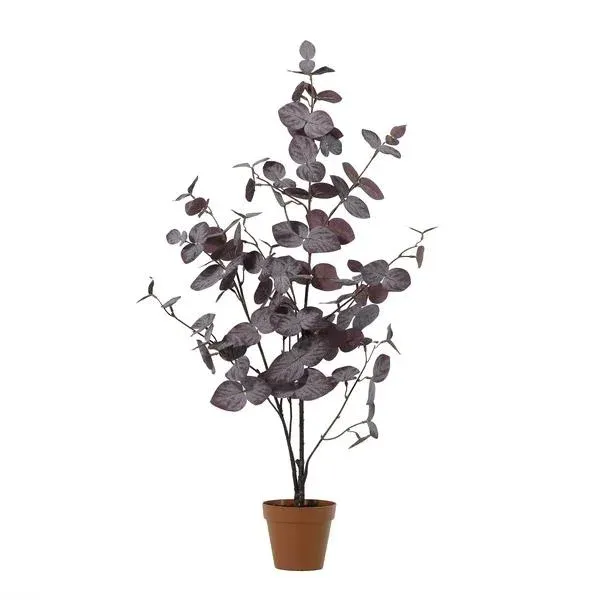 Decorative purple eucalyptus as an interior accent