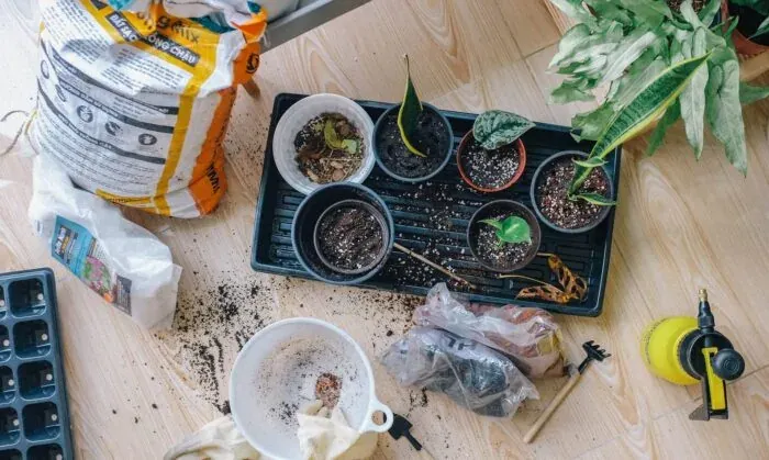 Online shop by Pots & Plants